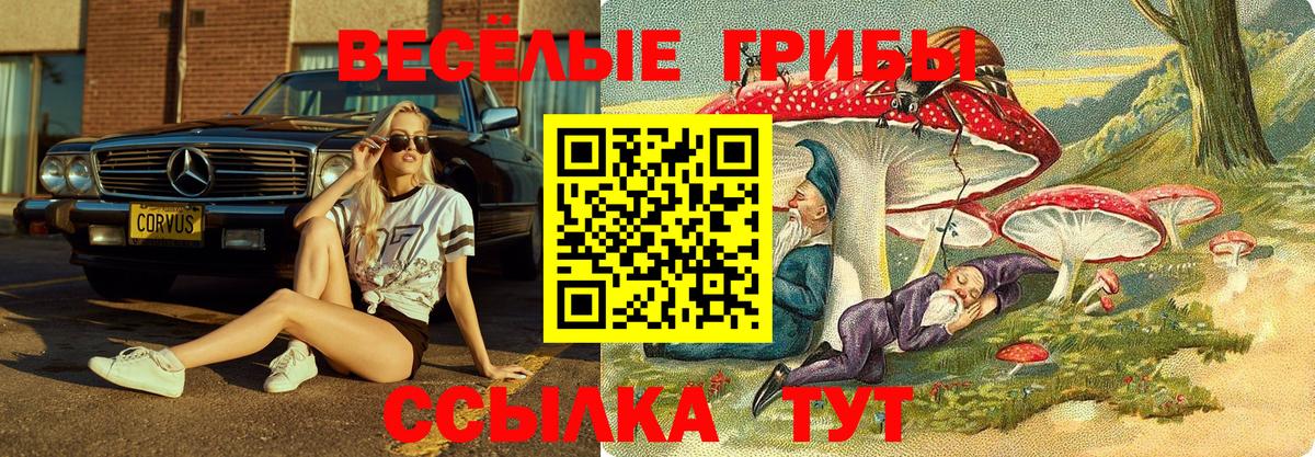 Конаково  Псилоцибиновые грибы Cubensis  Вход с VPN 